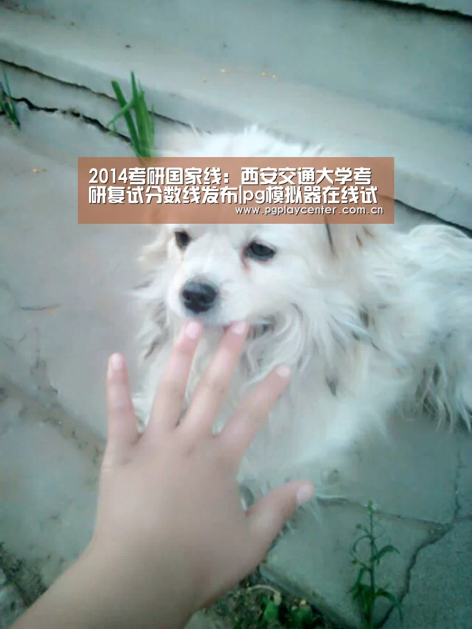 2014考研国家线:西安交通大学考研复试分数线发布|pg模拟器在线试玩(图1) pg模拟器在线试玩