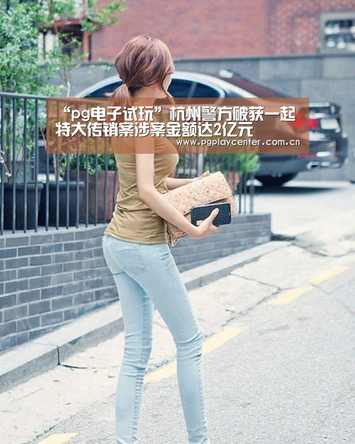 “pg电子试玩”杭州警方破获一起特大传销案涉案金额达2亿元(图4) pg模拟器