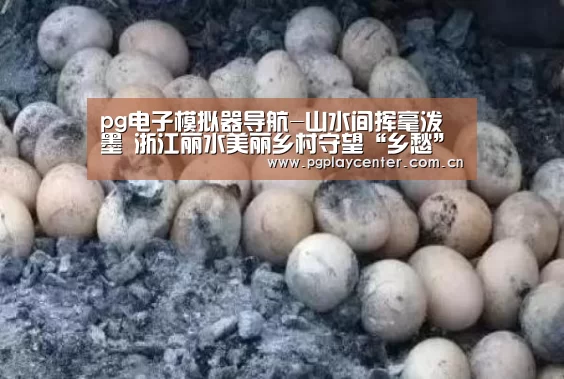 pg电子模拟器导航-山水间挥毫泼墨 浙江丽水美丽乡村守望“乡愁”(图4) pg模拟器在线试玩