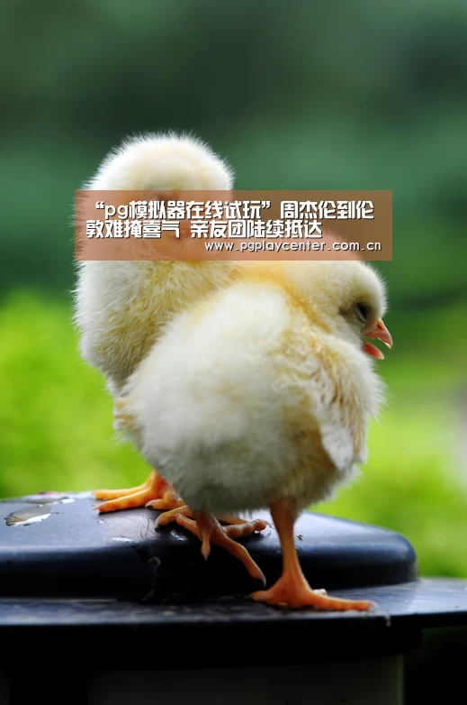 “pg模拟器在线试玩”周杰伦到伦敦难掩喜气 亲友团陆续抵达(图3) pg电子试玩