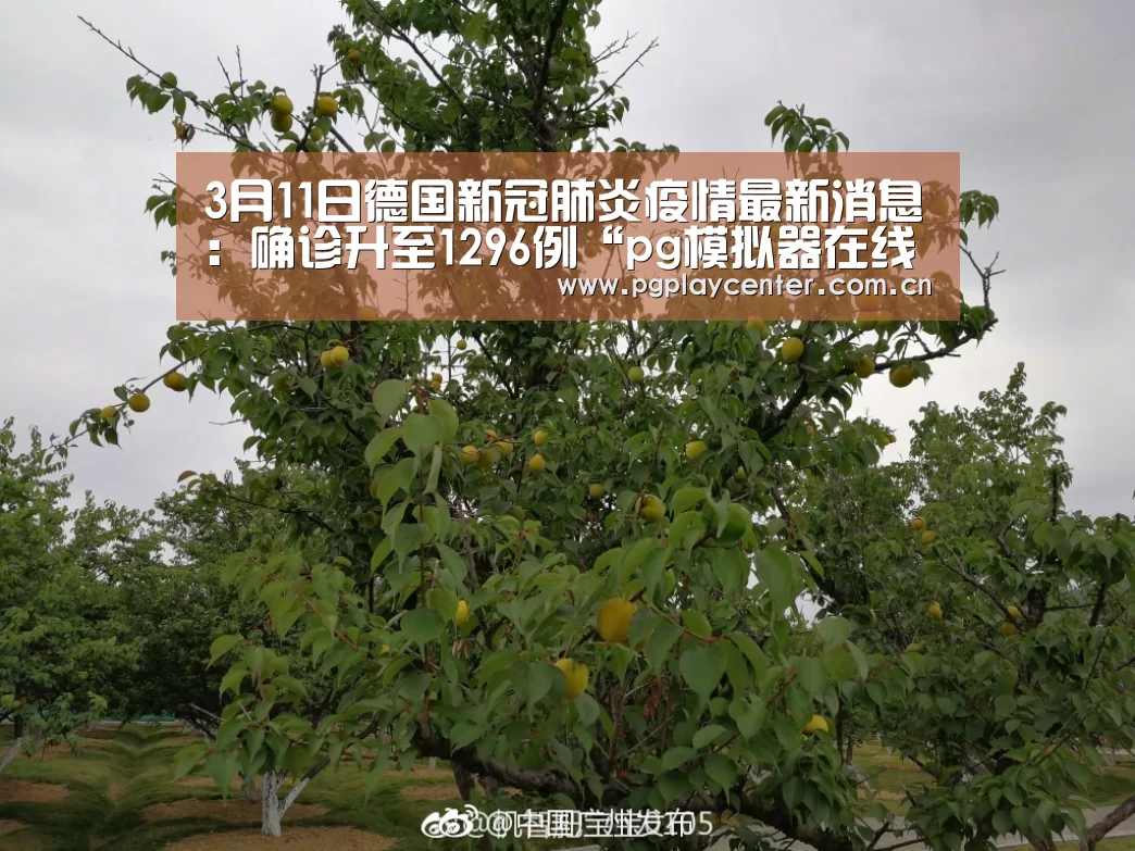3月11日德国新冠肺炎疫情最新消息:确诊升至1296例“pg模拟器在线试玩”(图3) pg模拟器