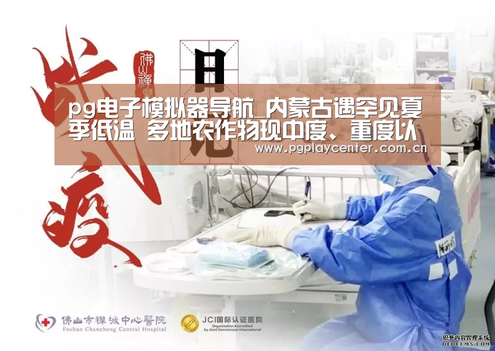 pg模拟器