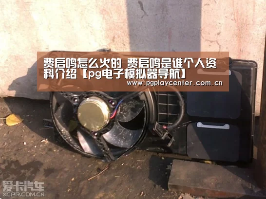 费启鸣怎么火的 费启鸣是谁个人资料介绍【pg电子模拟器导航】(图3) pg电子试玩