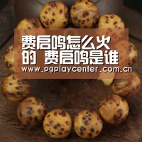 费启鸣怎么火的 费启鸣是谁个人资料介绍【pg电子模拟器导航】(图4) pg电子模拟器导航