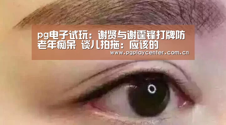 pg模拟器