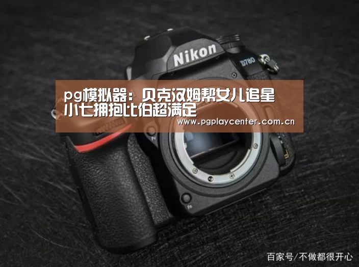 pg模拟器